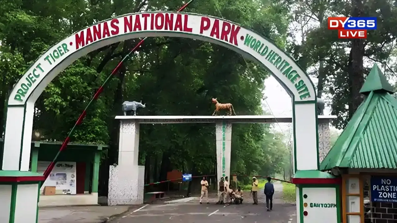 WhatsApp Image 2025-11-16 at 1.44.09 PM