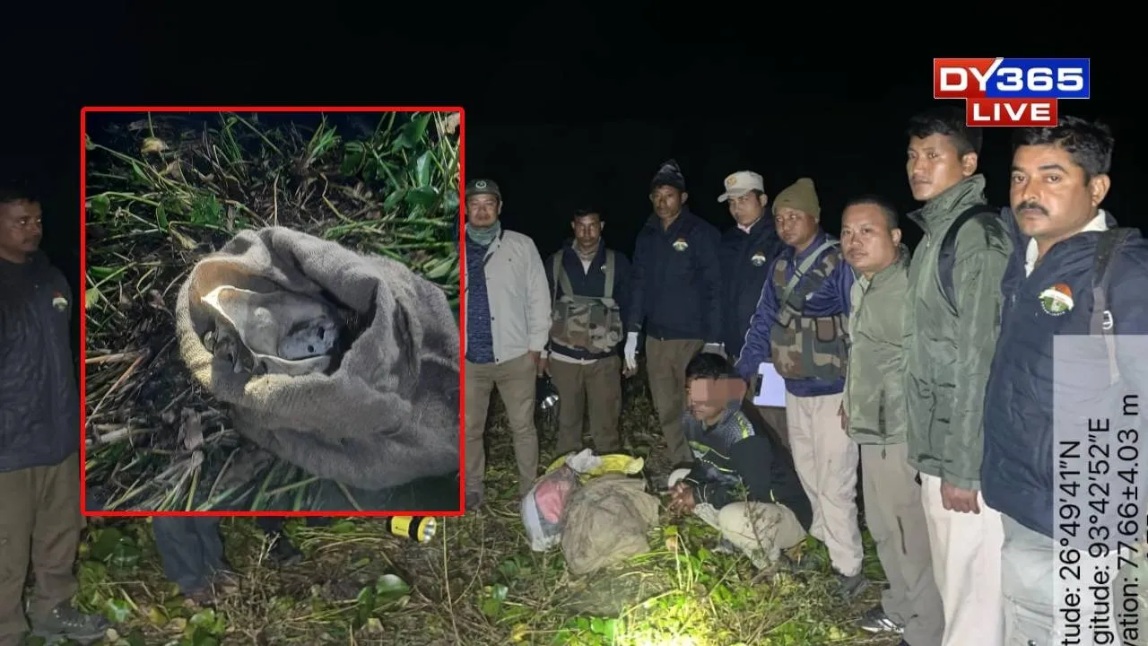 Poaching Racket Busted: Five Arrested with Royal Bengal Tiger Bones Near Kaziranga