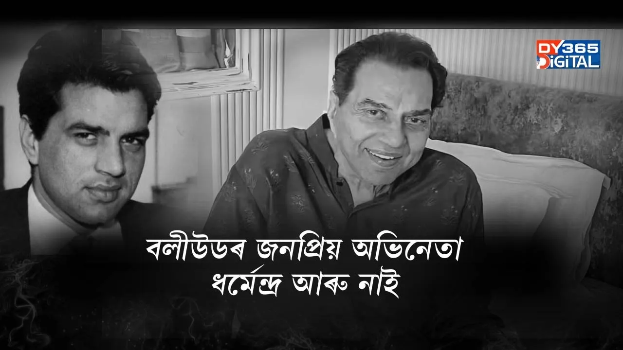 WhatsApp Image 2025-11-24 at 2.35.13 PM