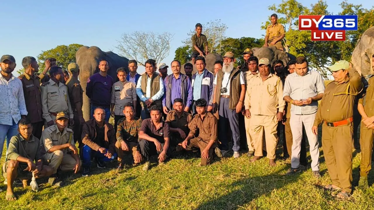 Inside Kaziranga’s Big Learning Week: How Mahouts Sharpened Skills for a Safer Future