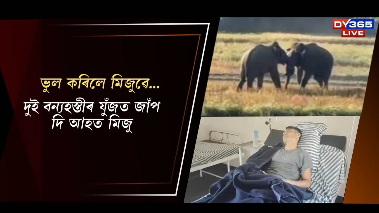 WhatsApp Image 2025-11-28 at 1.15.27 PM