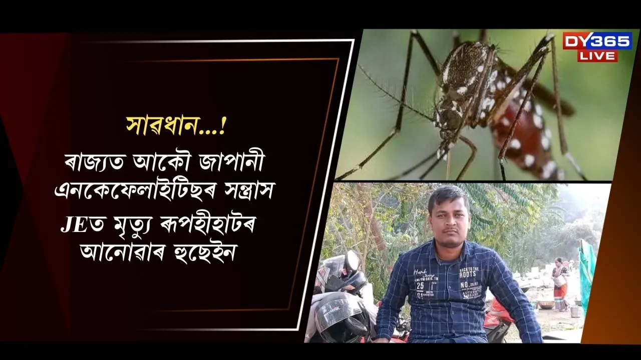  আকৌ জাপানীজ এনকেফেলাইটিছৰ সন্ত্ৰাস, JEত মৃত্যু ৰূপহীহাটৰ আনোৱাৰ হুছেইন