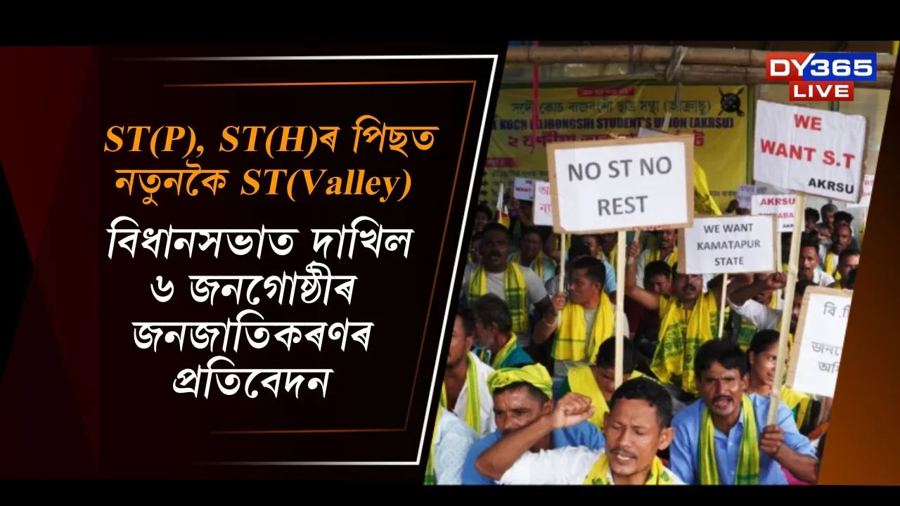 WhatsApp Image 2025-11-29 at 8.58.31 PM