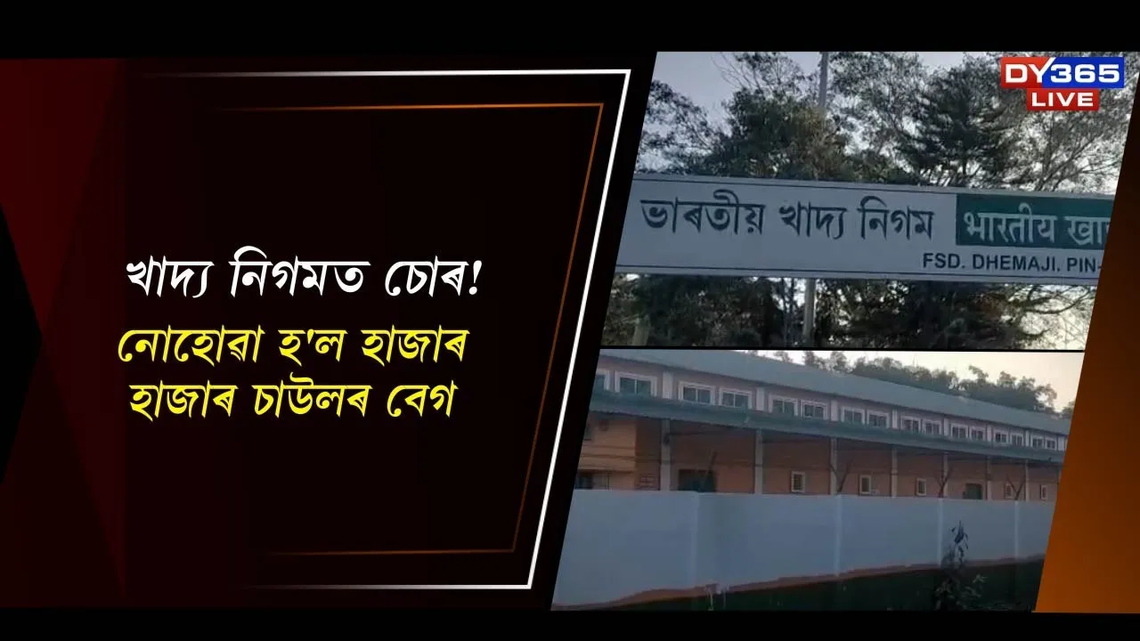 WhatsApp Image 2025-12-05 at 12.20.16 PM