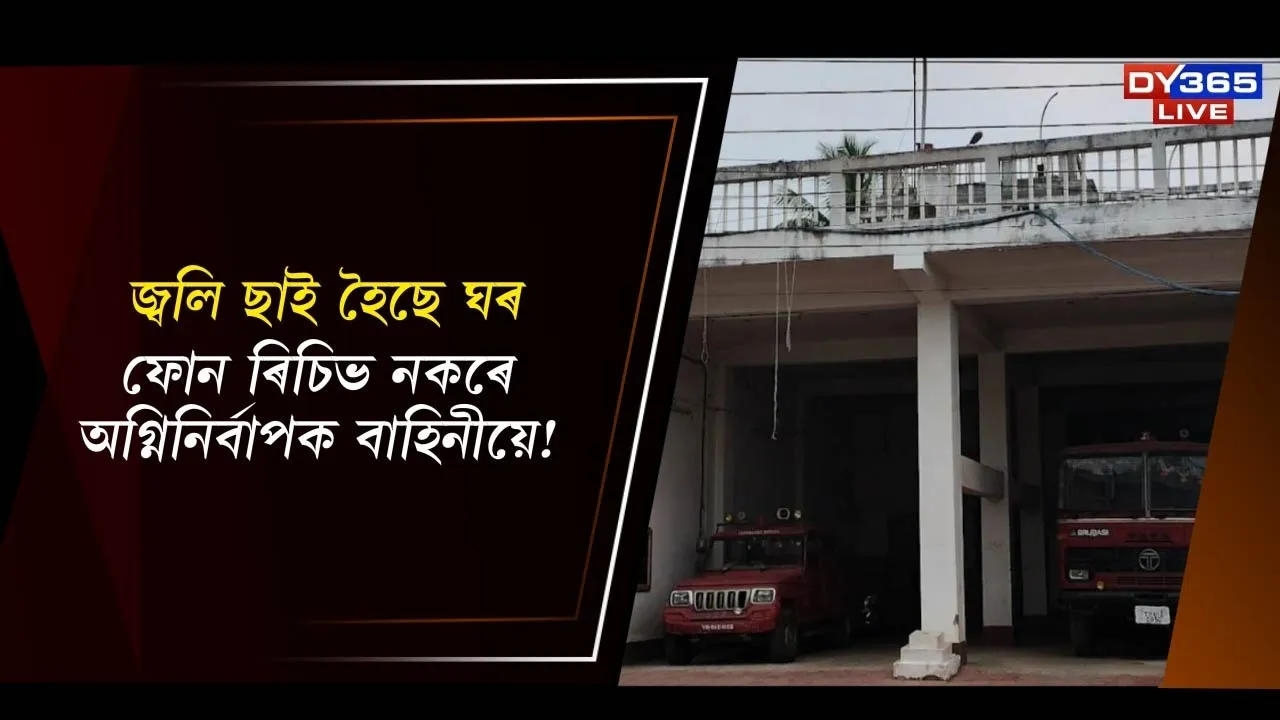 WhatsApp Image 2025-12-05 at 1.00.55 PM