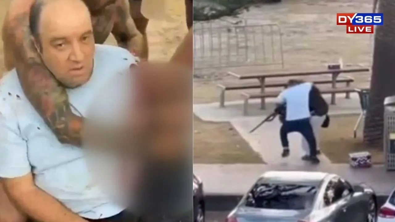  Who is Ahmed al-Ahmed? The Sydney Fruit Shop Owner Who Risks Life to Stop Bondi Gunman