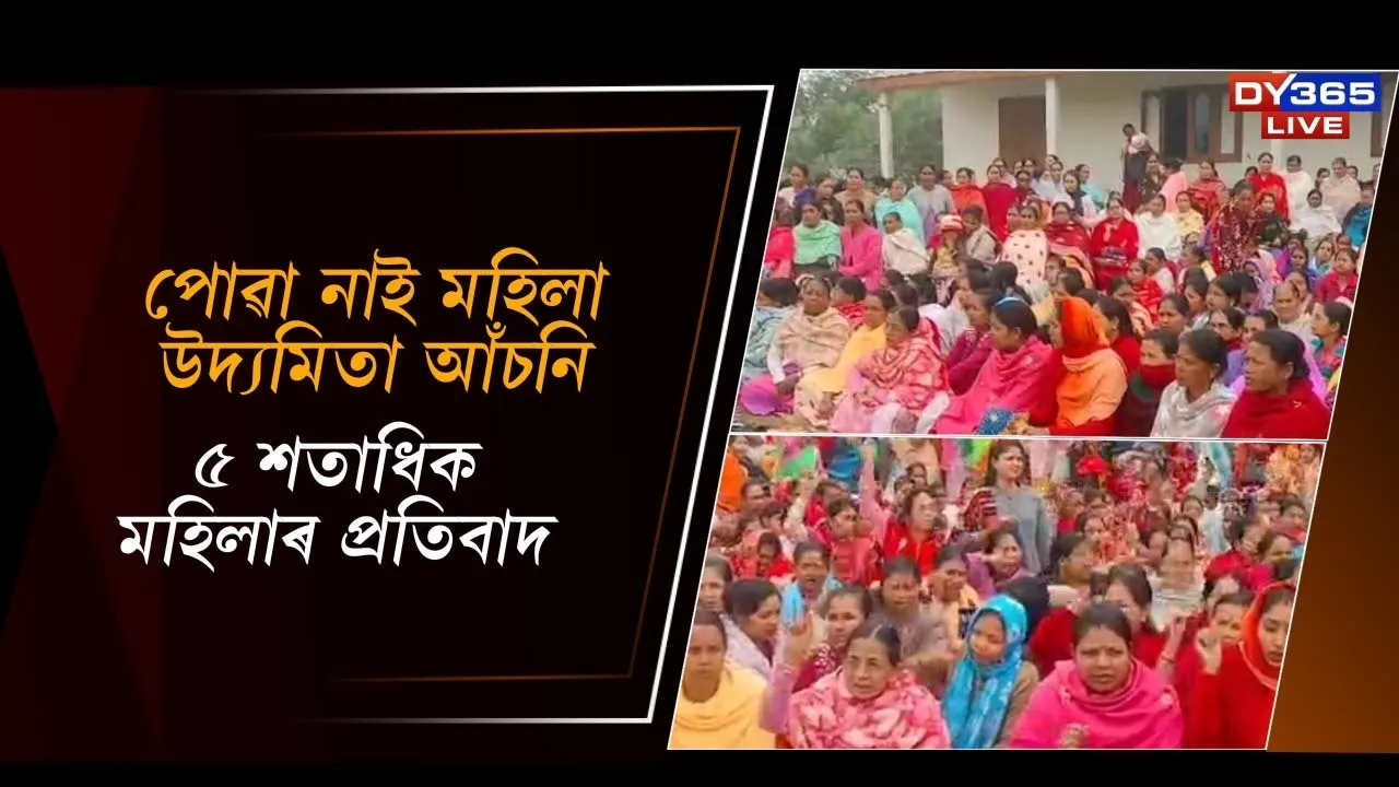  পোৱা নাই মহিলা উদ্যমিতা আঁচনি Photograph: (DY365) 