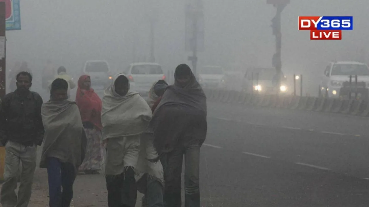  The IMD has issued fog-related warnings for multiple days (Representative Image) 