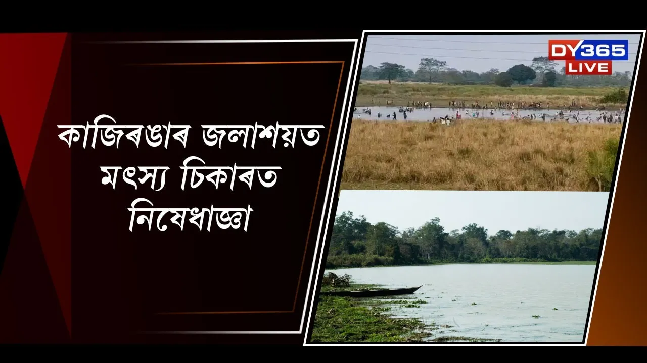  কাজিৰঙাৰ জলাশয়ত মত্স্য চিকাৰত নিষেধাজ্ঞা Photograph: (DY365) 