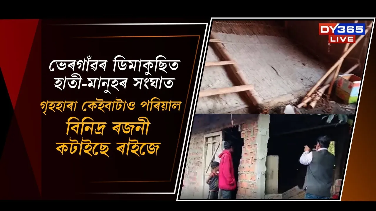  ভেৰগাঁৱৰ ডিমাকুছিত হাতী-মানুহৰ সংঘাত Photograph: (DY365) 