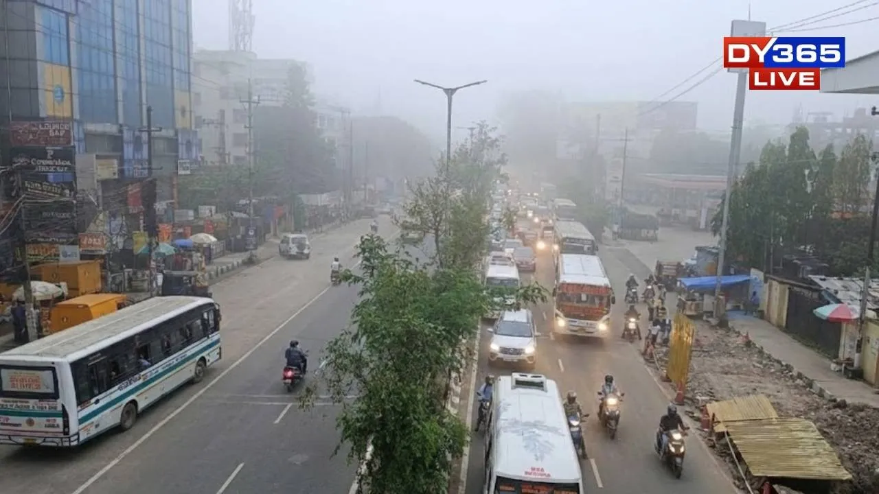  Daytime temperatures are expected to remain largely stable, hovering between 20°C and 24°C 