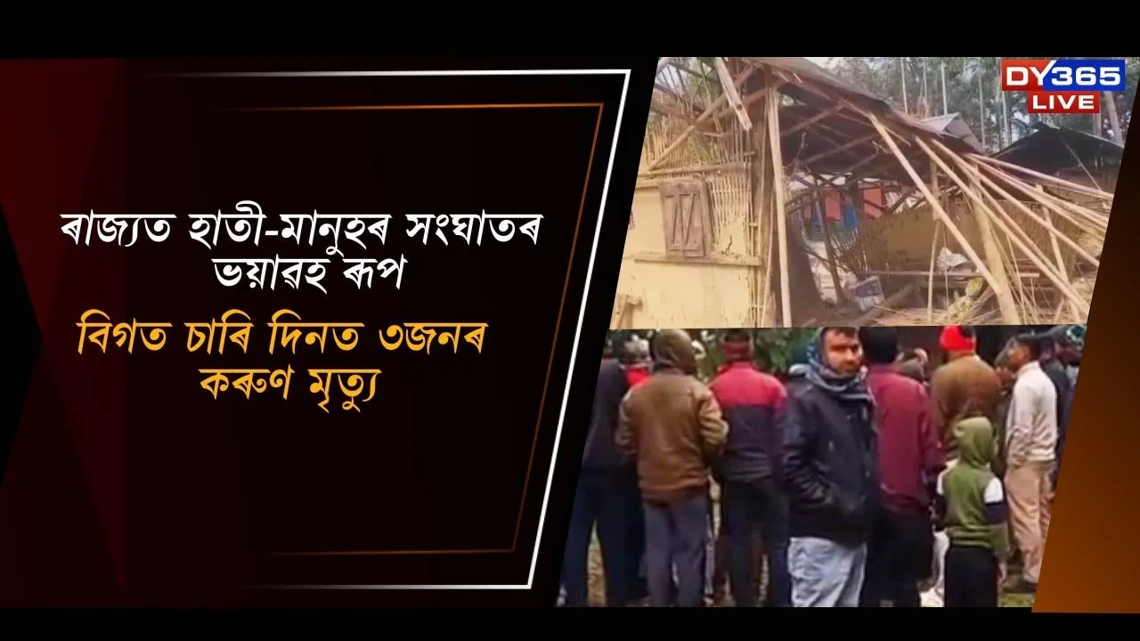  ৰাজ্যত অব্যাহত হাতী-মানুহৰ সংঘাত, চাৰি দিনত ৩জনৰ কৰুণ মৃত্যু Photograph: (DY365) 