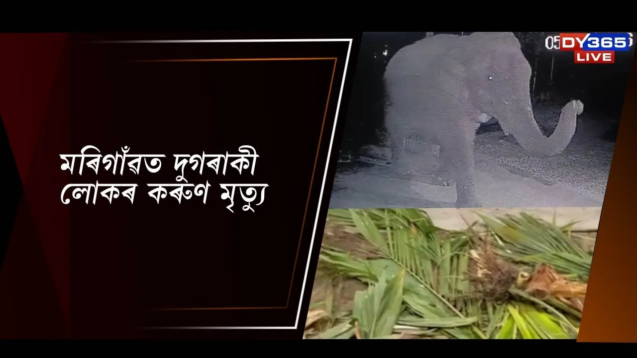  মৰিগাঁৱত দুগৰাকী লোকৰ কৰুণ মৃত্যু Photograph: (DY365) 