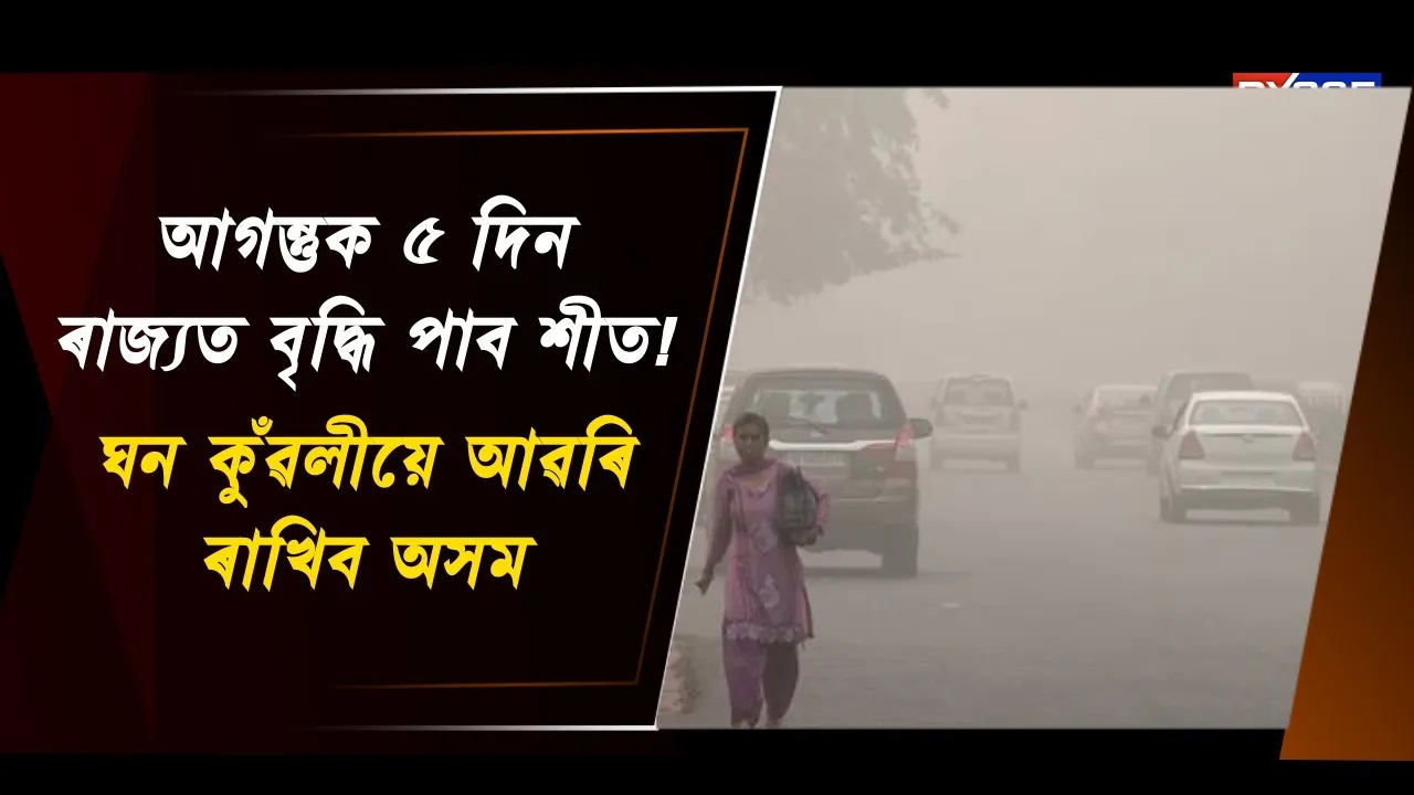  আগন্তুক ৫ দিনলৈ ৰাজ্যত বৃদ্ধি পাব শীত! Photograph: (DY365) 