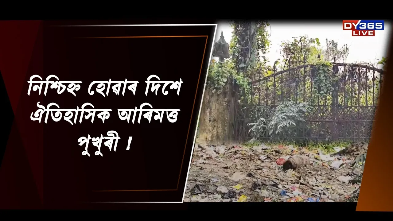  নিশ্চিহ্ন হোৱাৰ দিশে ঐতিহাসিক আৰিমত্ত পুখুৰী! Photograph: (DY365) 