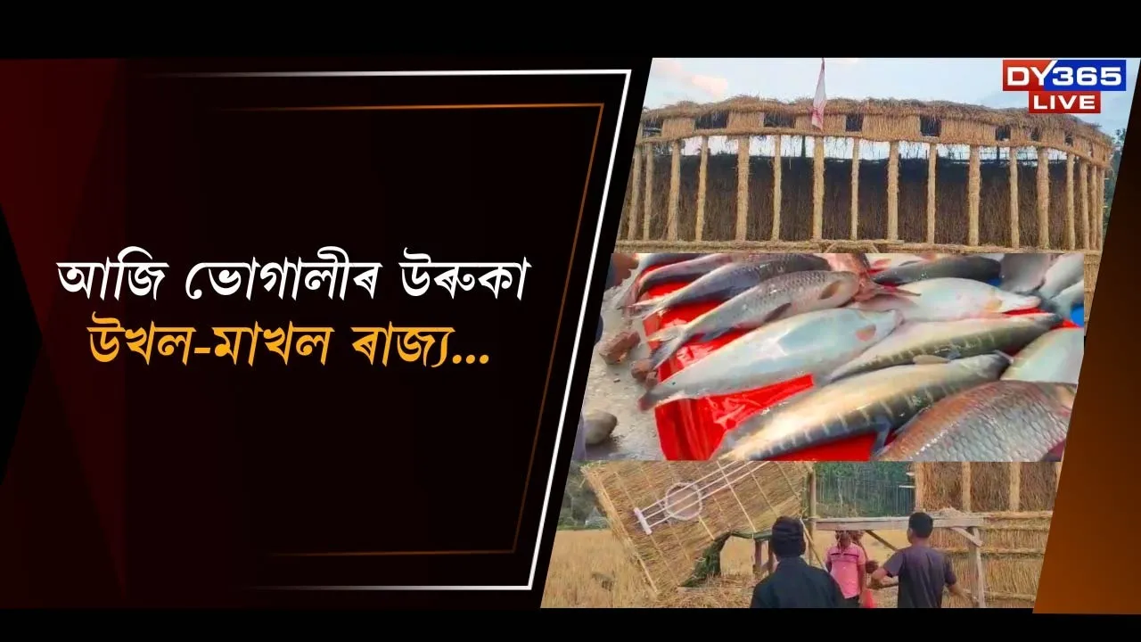  আজি ভোগালীৰ উৰুকা Photograph: (DY365) 