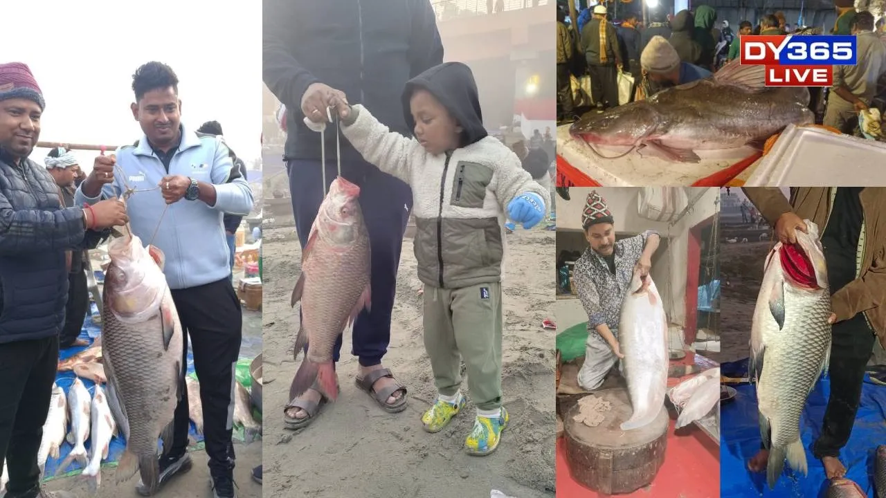  Fish Markets Turn Crowded Across Assam as Uruka Celebrations Begin