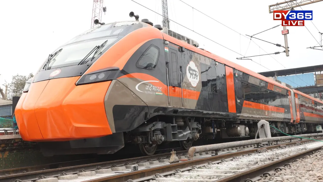  Photograph: (Google) 