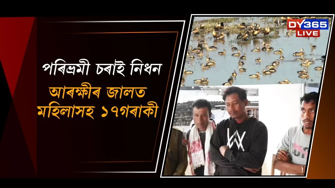  পৰিভ্ৰমী চৰাই নিধন Photograph: (DY365) 