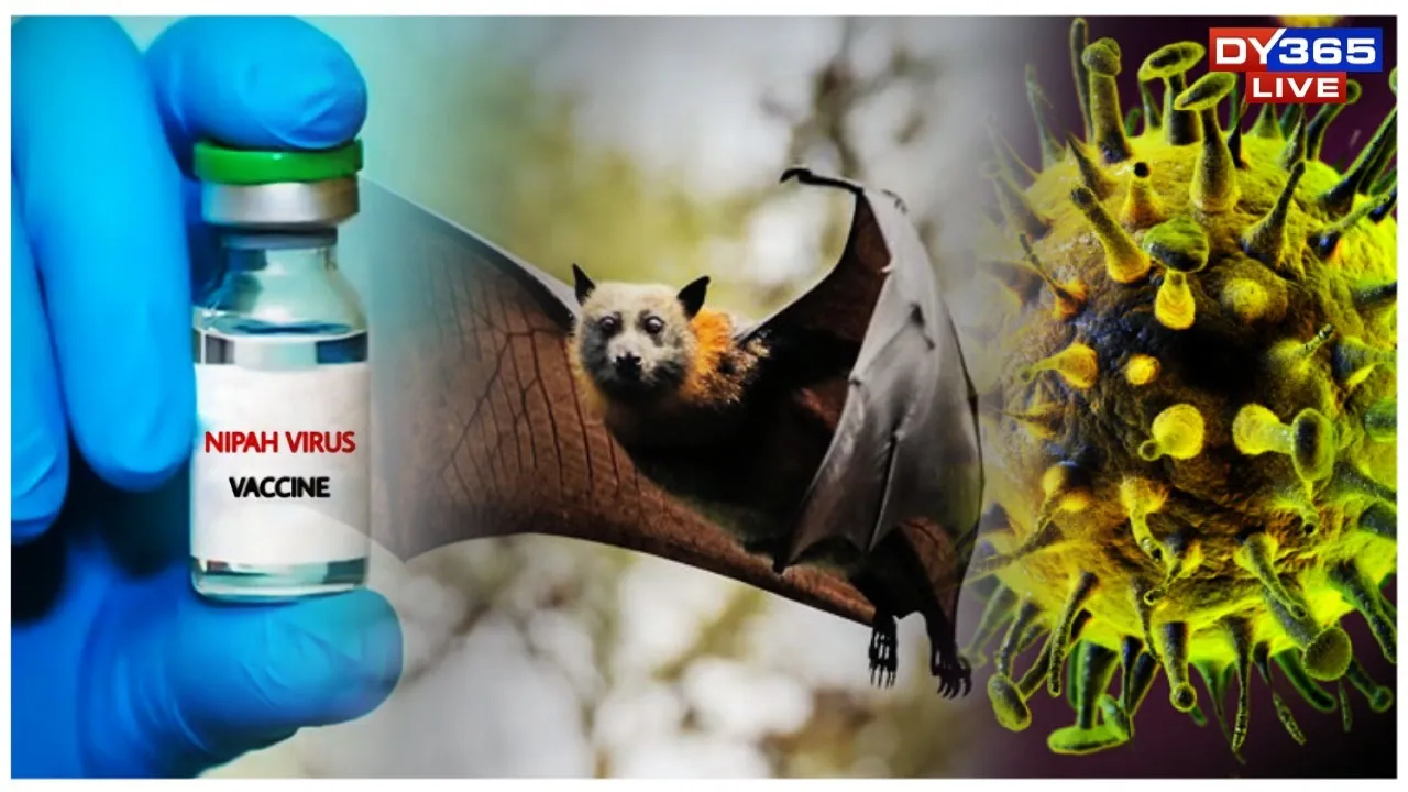  What Is Nipah Virus? India Reports Fresh Cases, Health Authorities on Alert