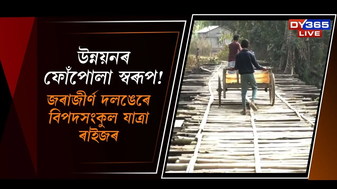  জৰাজীৰ্ণ দলঙেৰে বিপদসংকুল যাত্ৰা ৰাইজৰ Photograph: (DY365) 