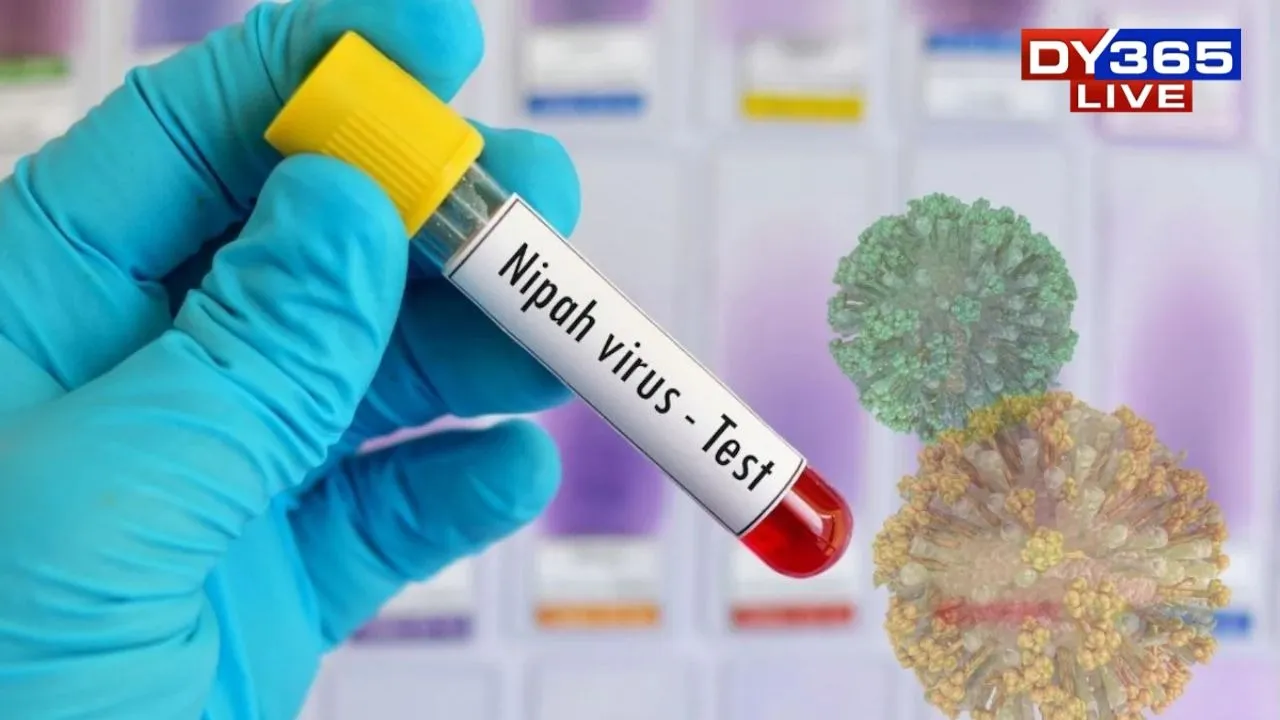  First Nipah Virus Death Confirmed in West Bengal; Young Nurse Dies After Complications