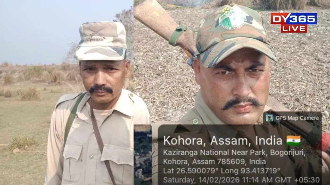  Forest Personnel Killed, Another Critically Injured in Rhino Attack at Kaziranga