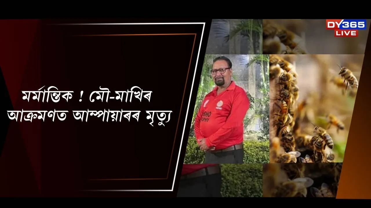  মৰ্মান্তিক ! মৌ-মাখিৰ আক্ৰমণত আম্পায়াৰৰ মৃত্যু