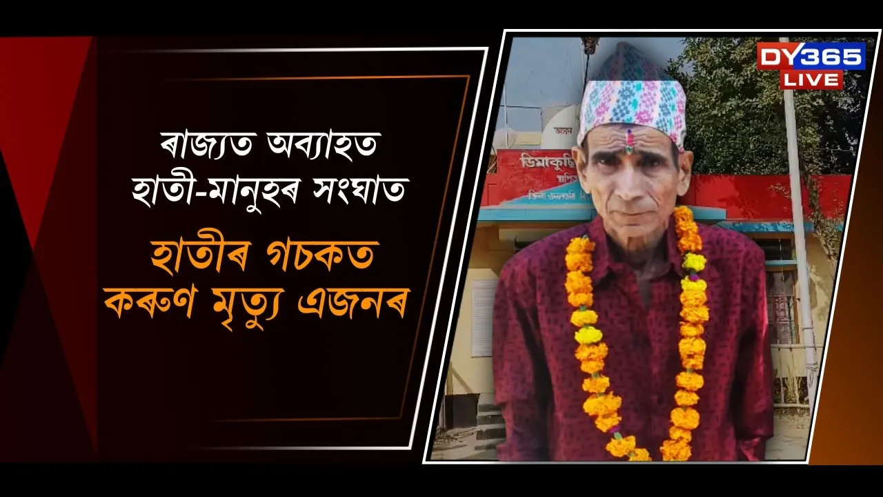  হাতীৰ গচকত কৰুণ মৃত্যু এজনৰ Photograph: (DY365) 