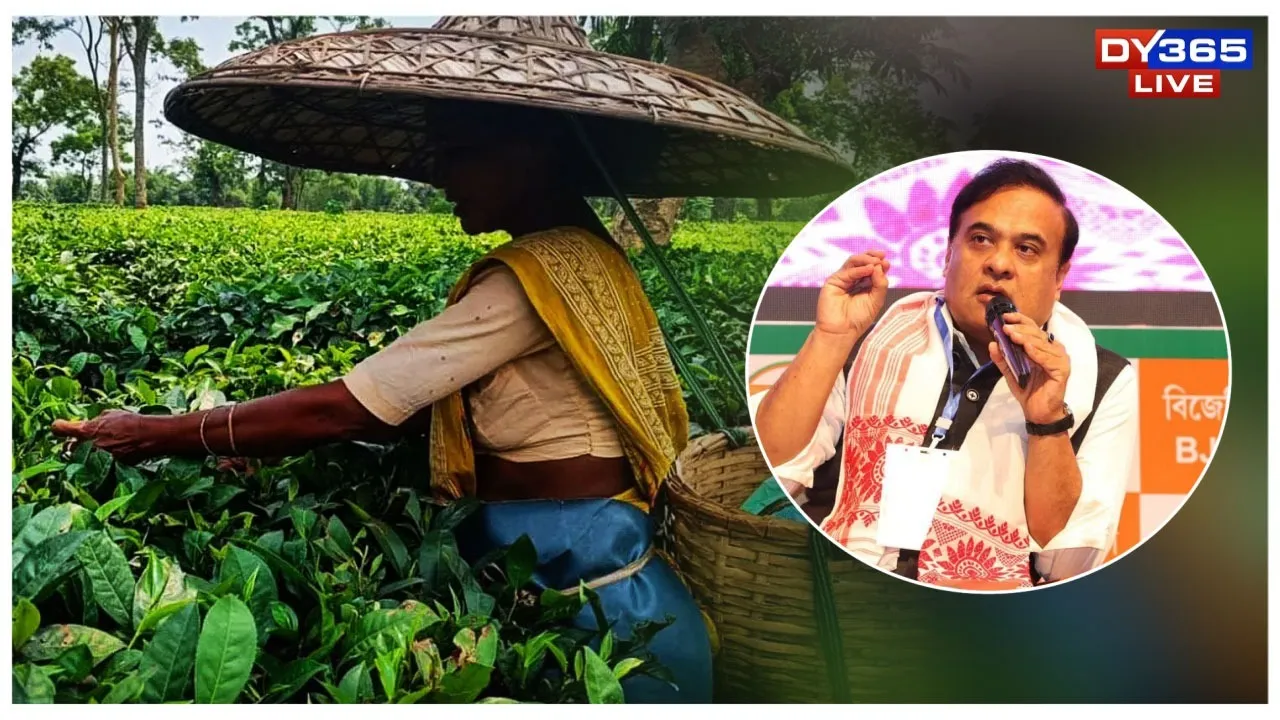  Not Just Land, But a Home: Assam’s Landmark Promise to Tea Garden Workers