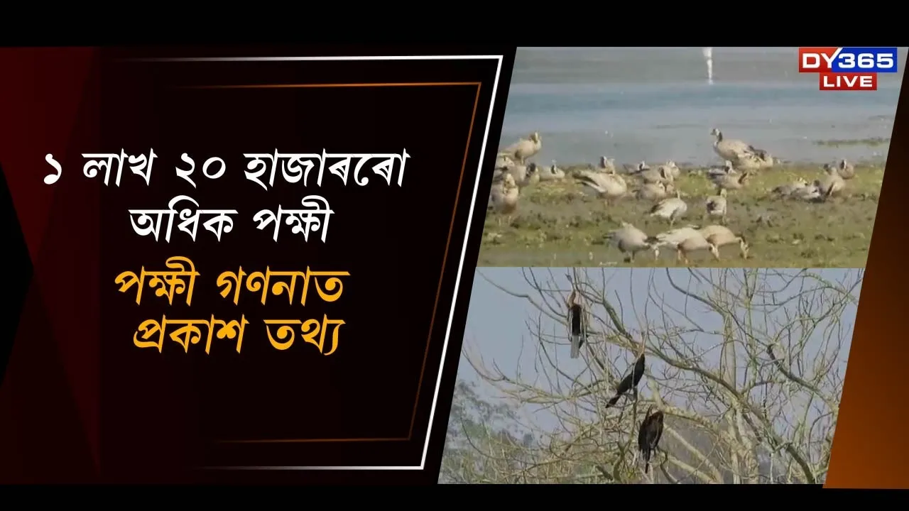  ১ লাখ ২০ হাজাৰৰো অধিক পক্ষী Photograph: (DY365) 