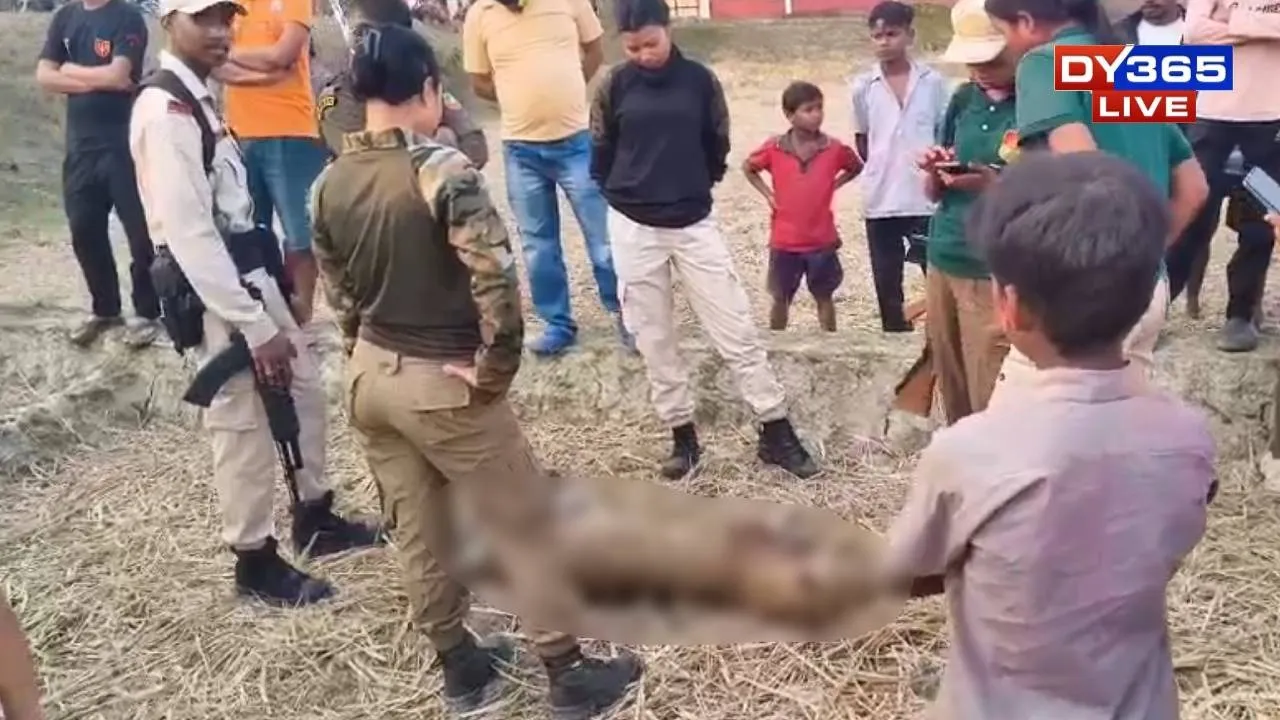  Leopard Killed by Villagers After Daylight Attack Injures Man in Assam’s Duliajan