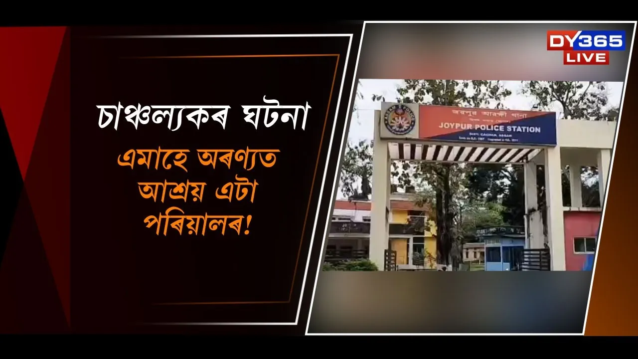  এমাহে অৰণ্যত আশ্ৰয় এটা পৰিয়ালৰ! Photograph: (DY365) 