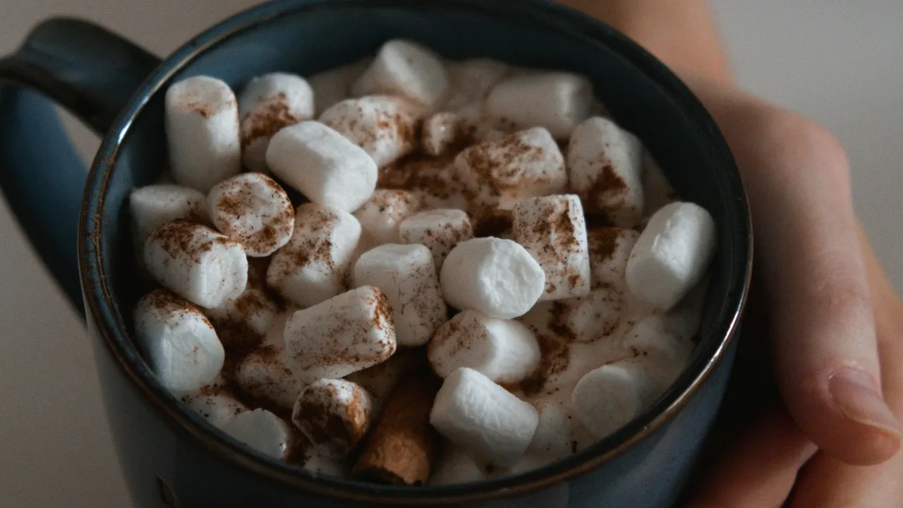 ELLE Gourmet Banner (16)