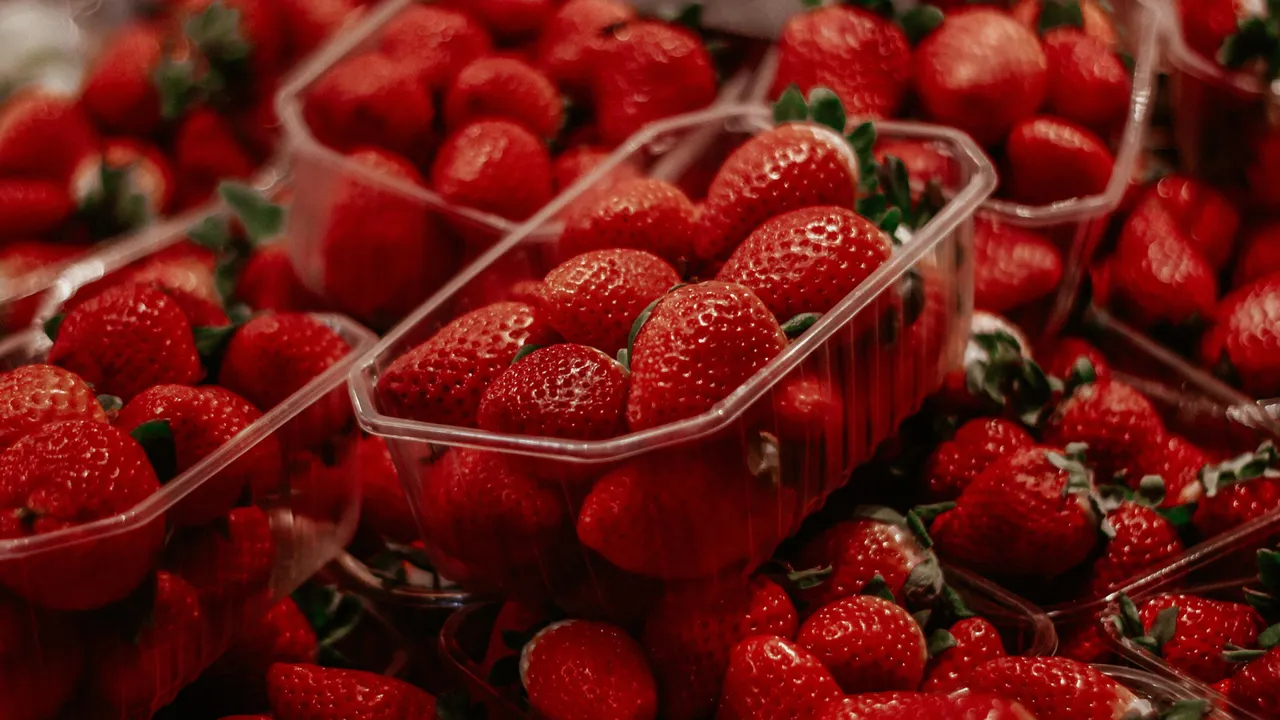 ELLE Gourmet Banner (3)