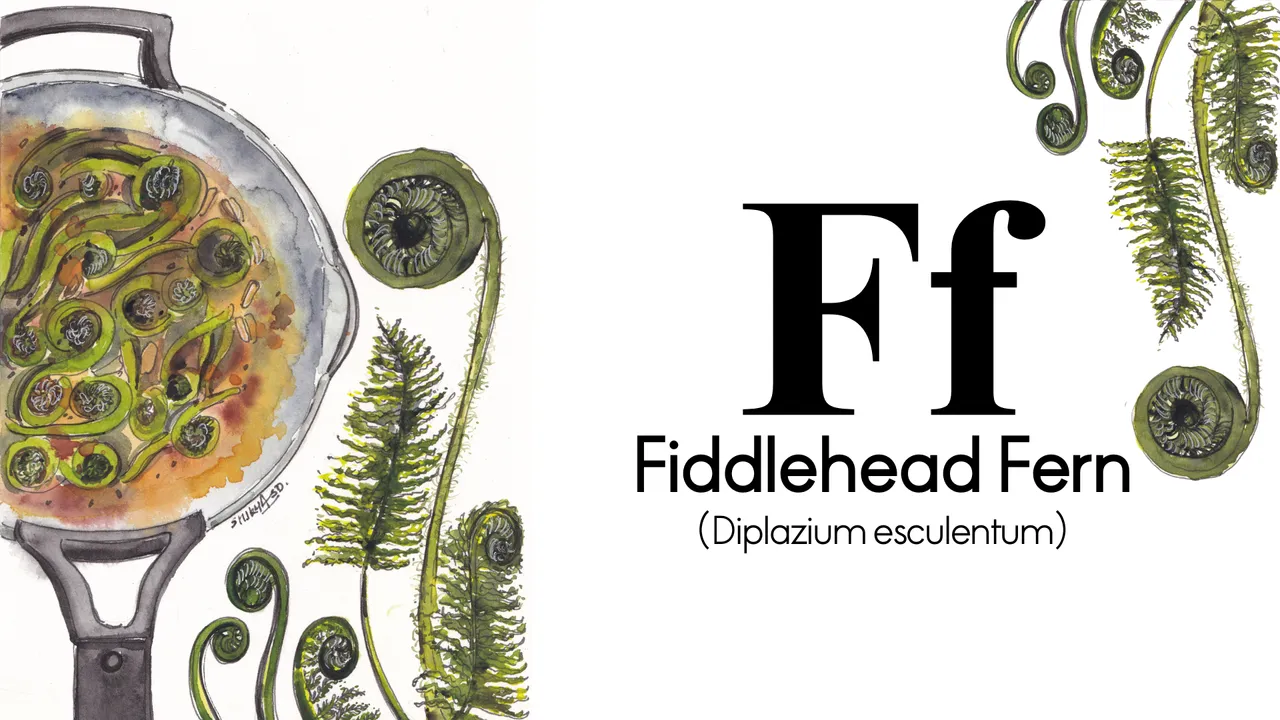 ELLE Gourmet Banner (38)