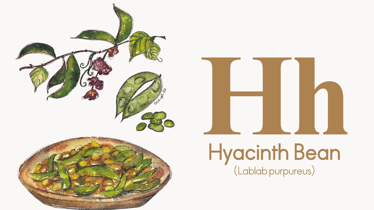 ELLE Gourmet Banner (73)