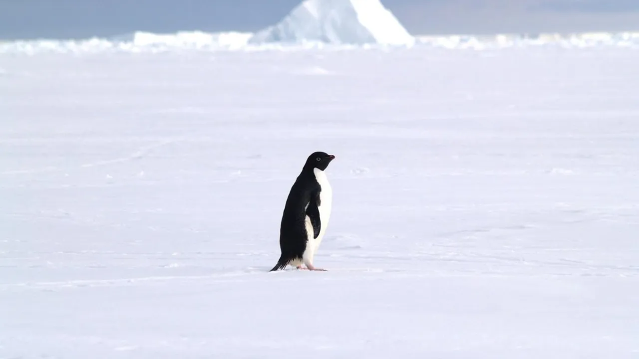 Banner  - 2026-01-29T154859.019