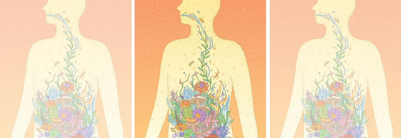 Untitled-design-34