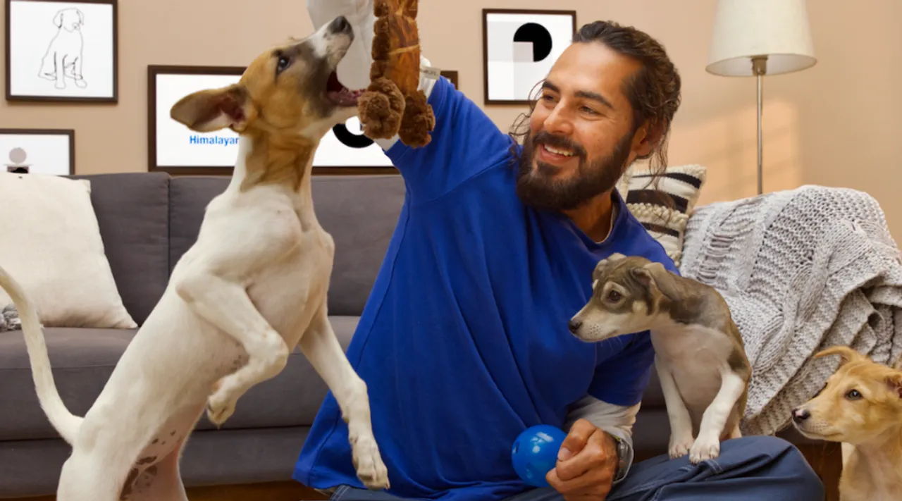 Saving Lives, Finding Love: Why Adopting a Pet is the Best  Decision