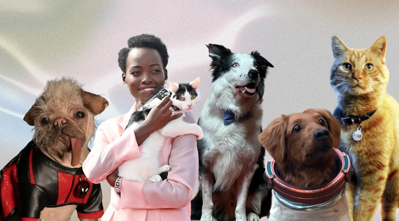 10 Times These Adorable 'Pup-Stars' Stole The Limelight On Our Film Screens