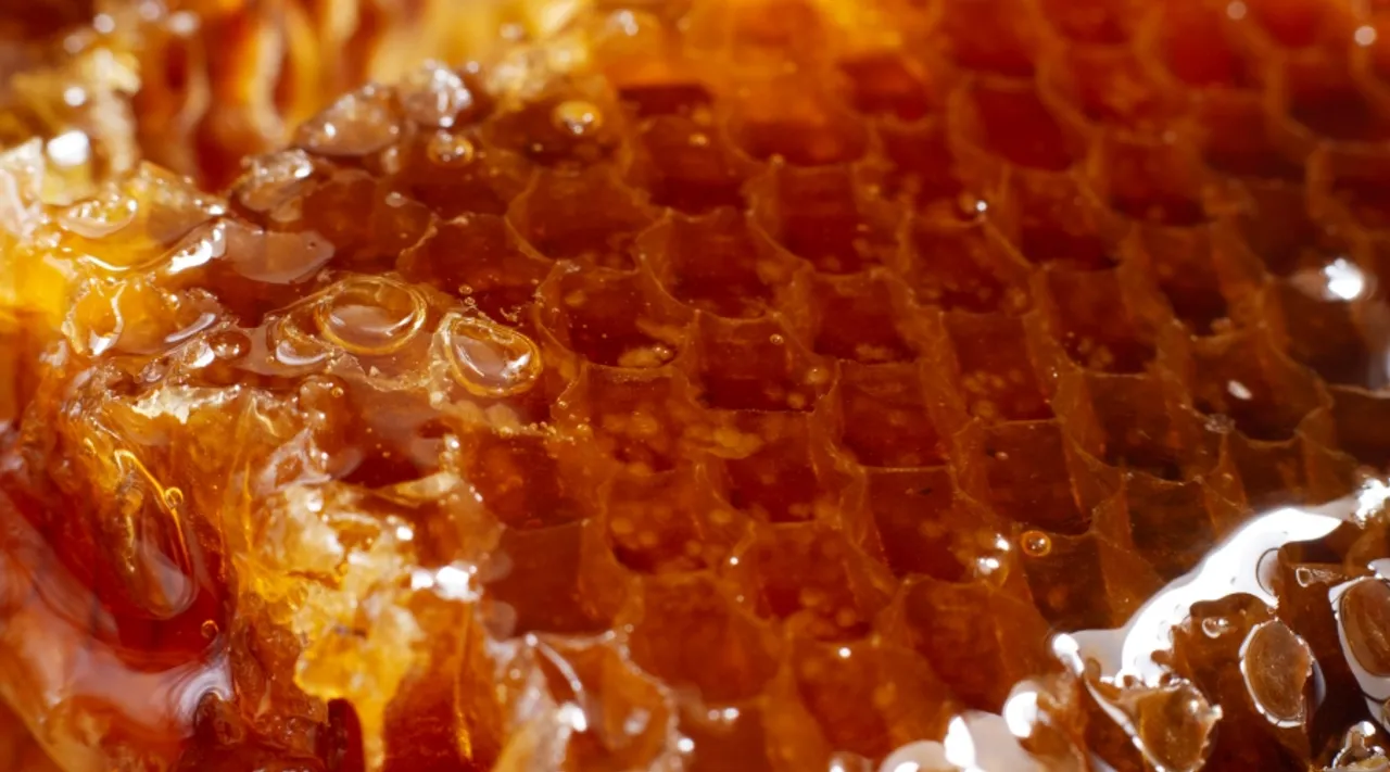 Bee-utiful Skin: Why Propolis Should Be Your Next Skincare Staple