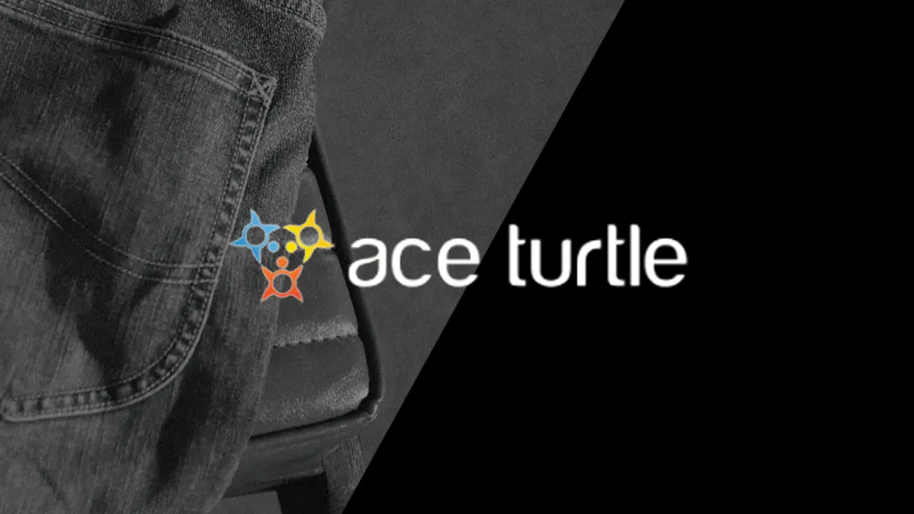 Ace Turtle