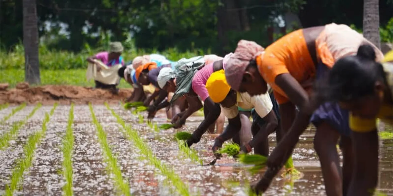 Rainmatter Foundation calls for a ‘fair’ consultation on AgriStack
