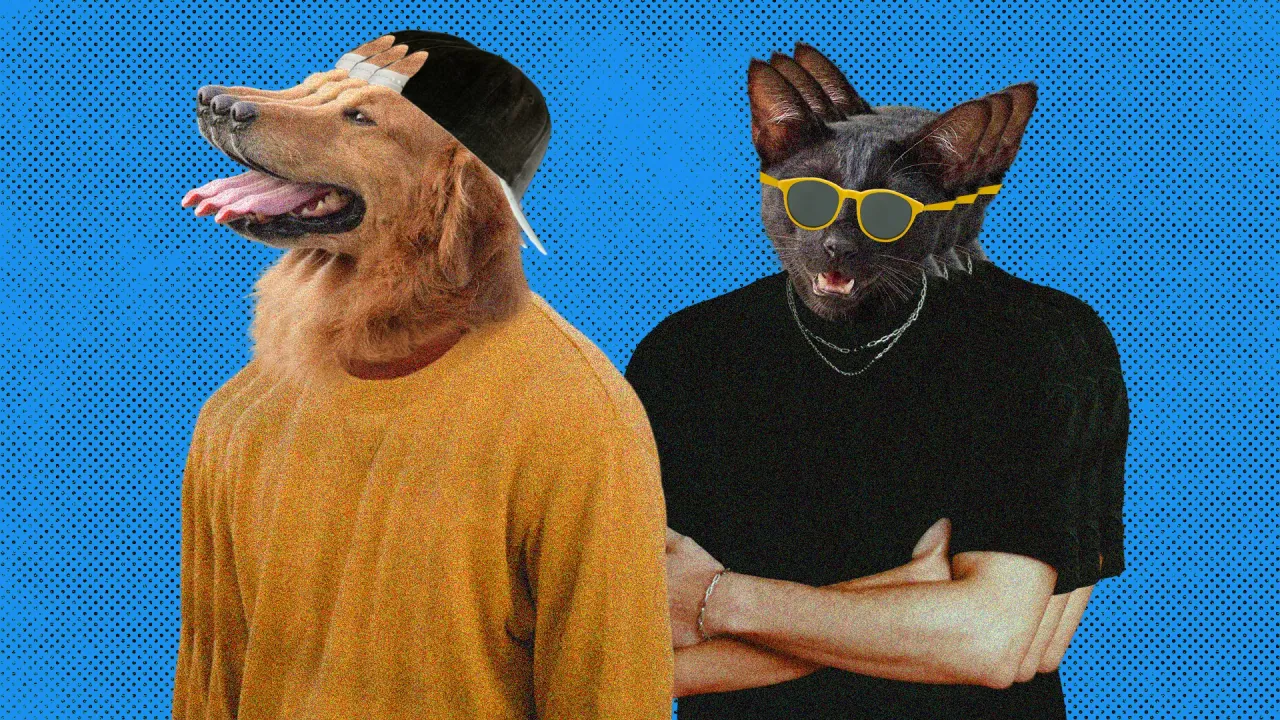 A picture of a Golden Retriever dog wearing a yellow t-shirt and cap, and a broody Black Cat wearing a black t-shirt and shades to depict the latest in modern dating in India, based on types of boyfriends in India depending on emotional labour in relationships.