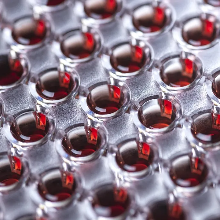 Are allergy tests actually helpful? 