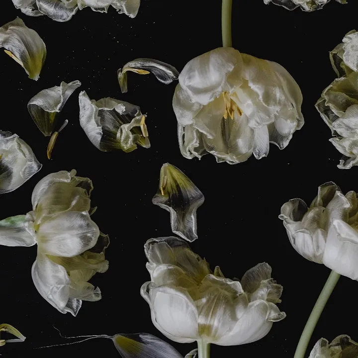 How can you tell whether your skin is dehydrated?