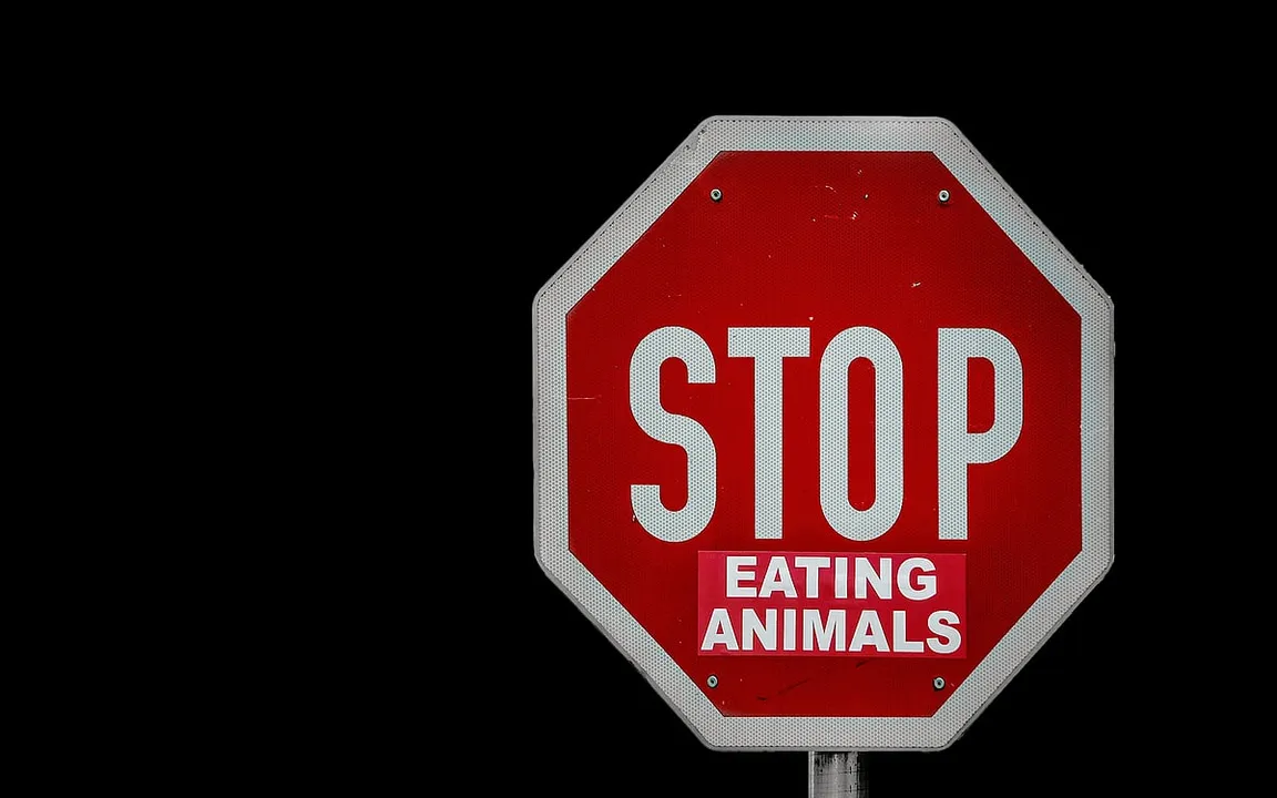 Going vegan for the first time? This guide might help you