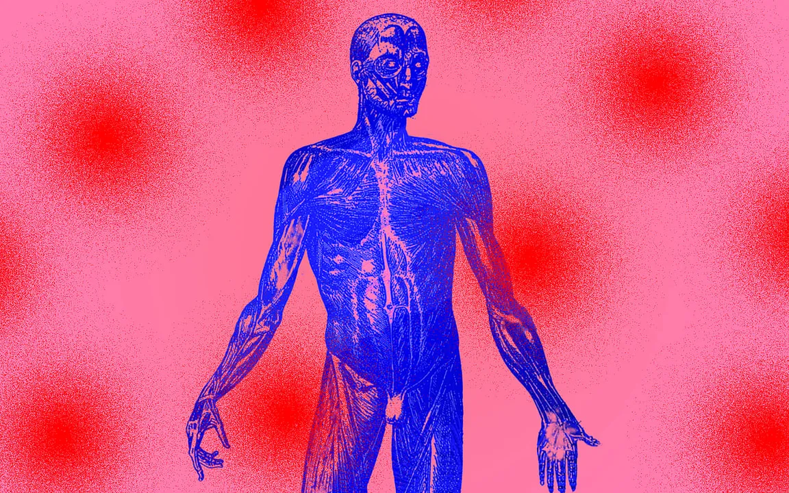 Beyond diet: unraveling the hidden causes of inflammation in your body