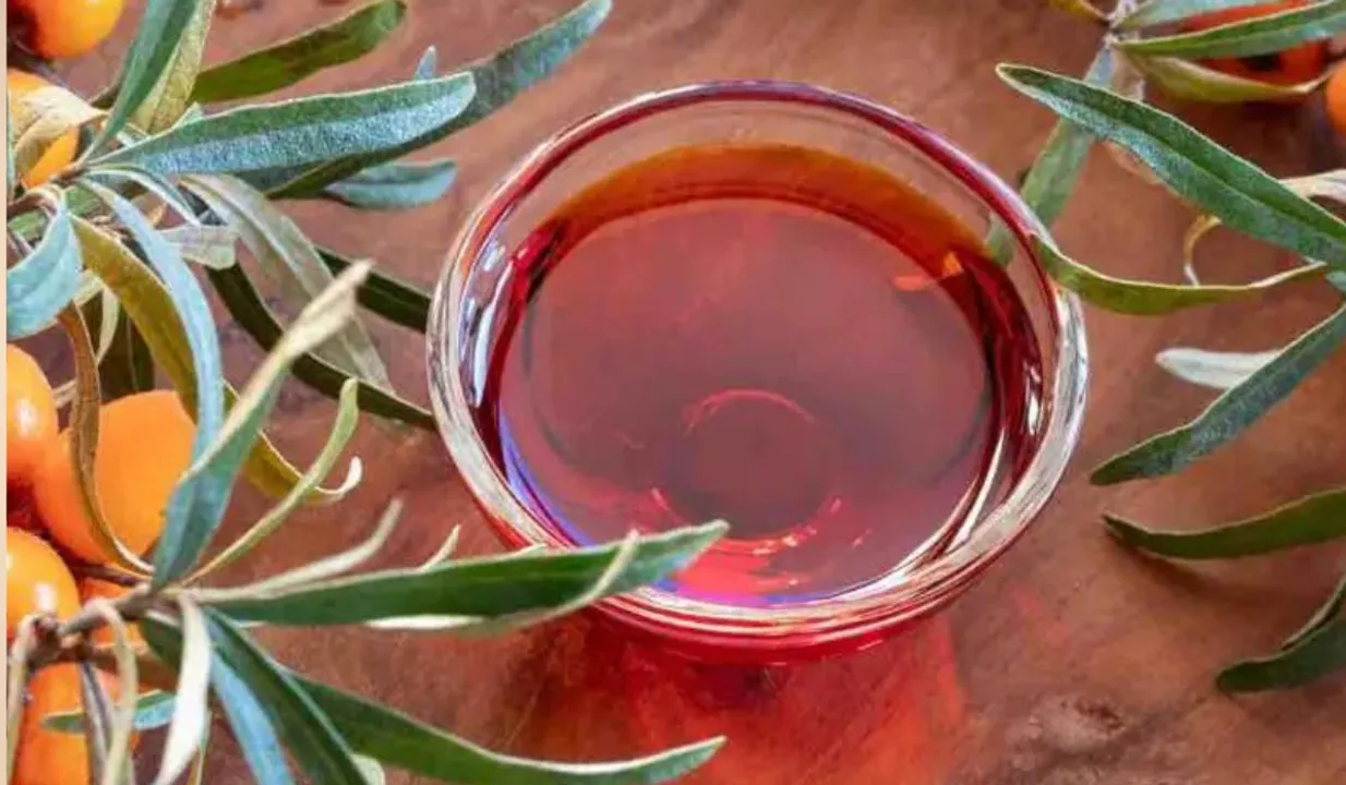  Buckthorn 